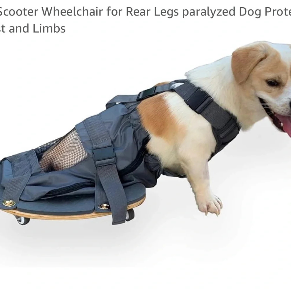 Pet Scooter